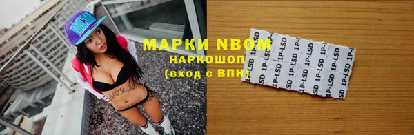ECSTASY Инсар