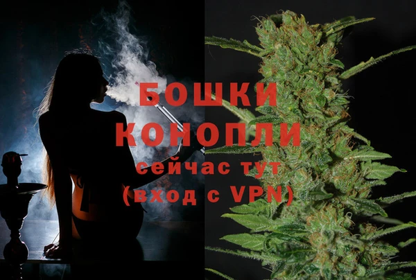 ECSTASY Инсар