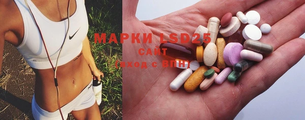 ECSTASY Инсар
