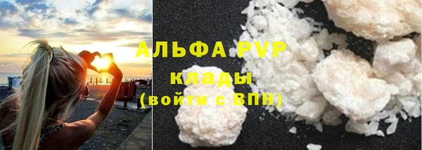 ECSTASY Инсар