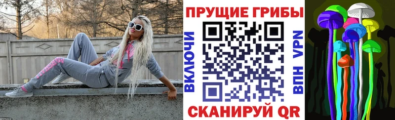 Купить где  Зея  Галлюциногенные грибы прущие грибы 